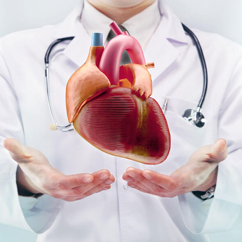 Professional Cardiologist in a Clinical Setting