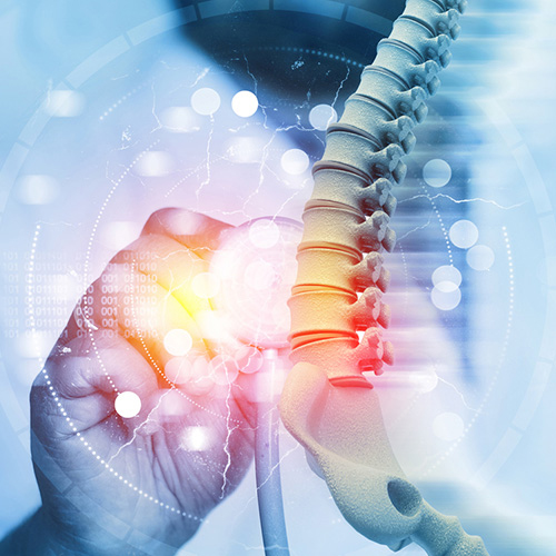 Medical Expert in Physical Medicine