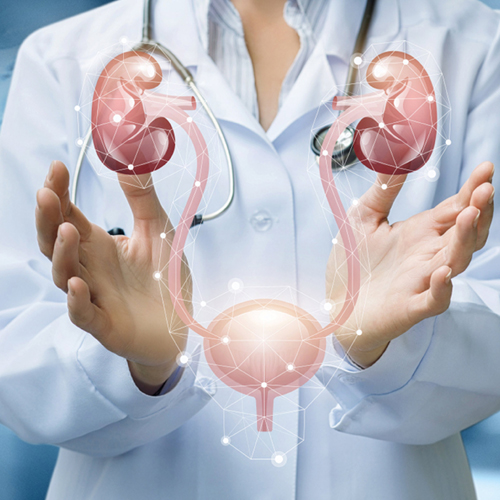 Urology Specialist