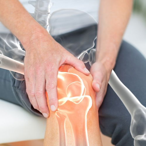 Orthopedic Specialist 