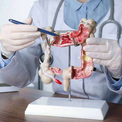 Gastroenterologist Performing an Abdominal Examination