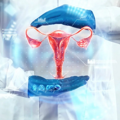 Gynecologist Performing Routine Women's Health Check-Up
